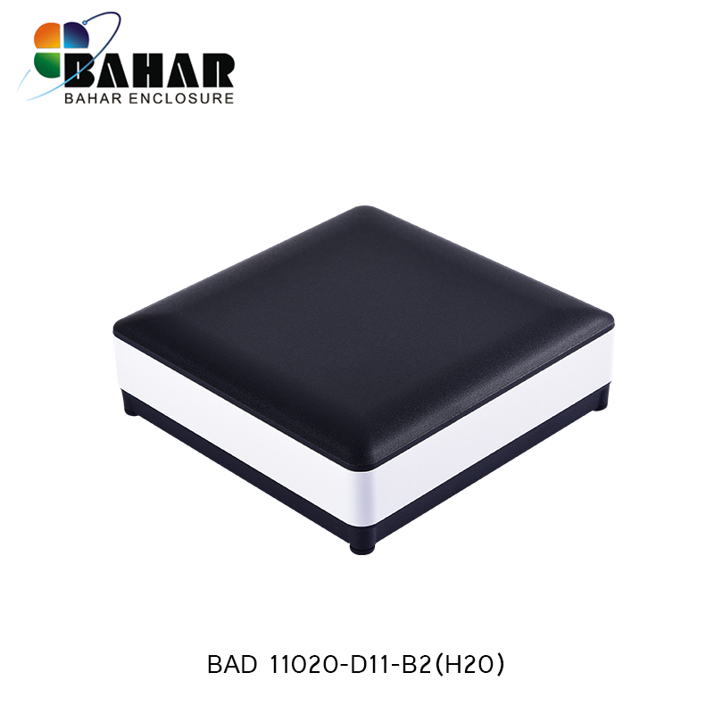 BAD 11020-(H20)